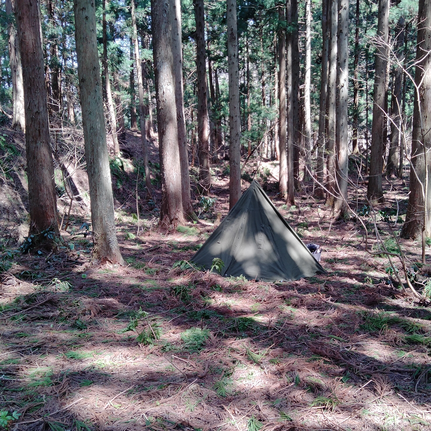 無骨な軍幕】ポーランド軍ポンチョテントを解説！薪ストーブの相棒に